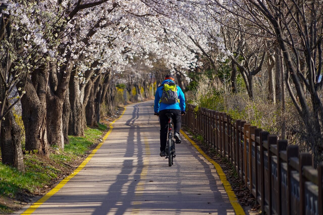 empresa asfaltado carril bici madrid (2)